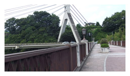 あのはなスクリーンショット